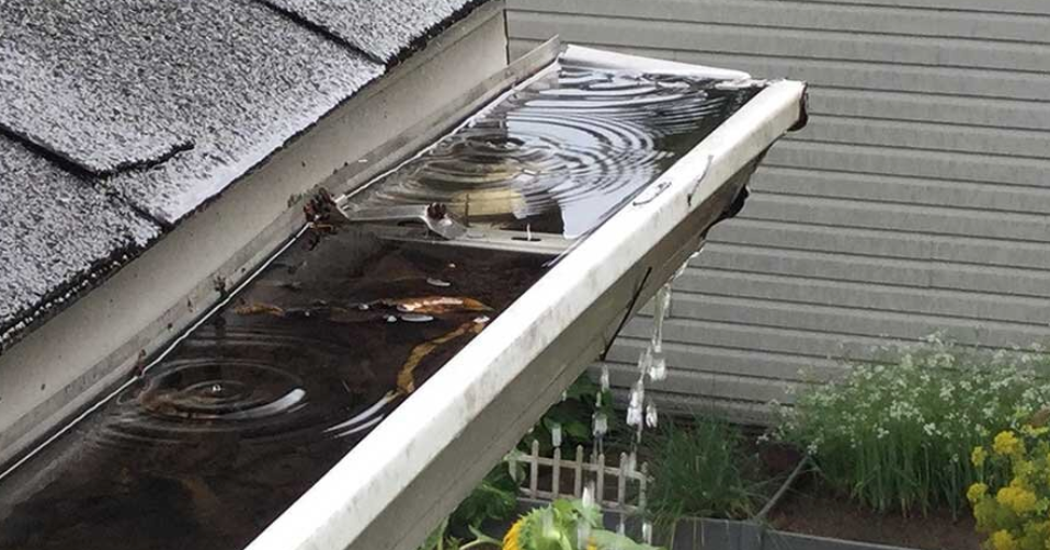 clogged gutter