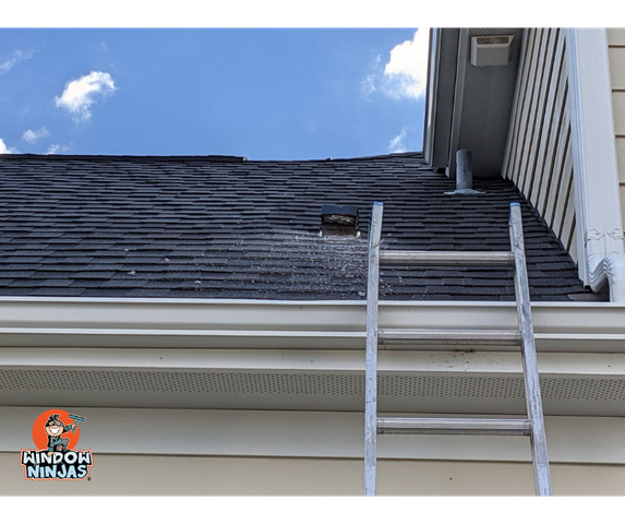 Dryer Cleaning On Roof