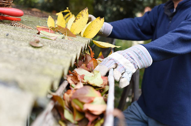 gutter cleaning