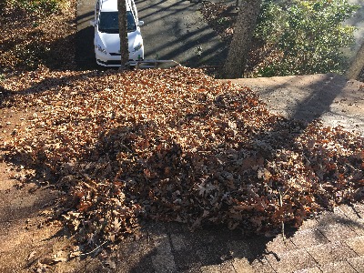 gutter cleaning Greenville SC