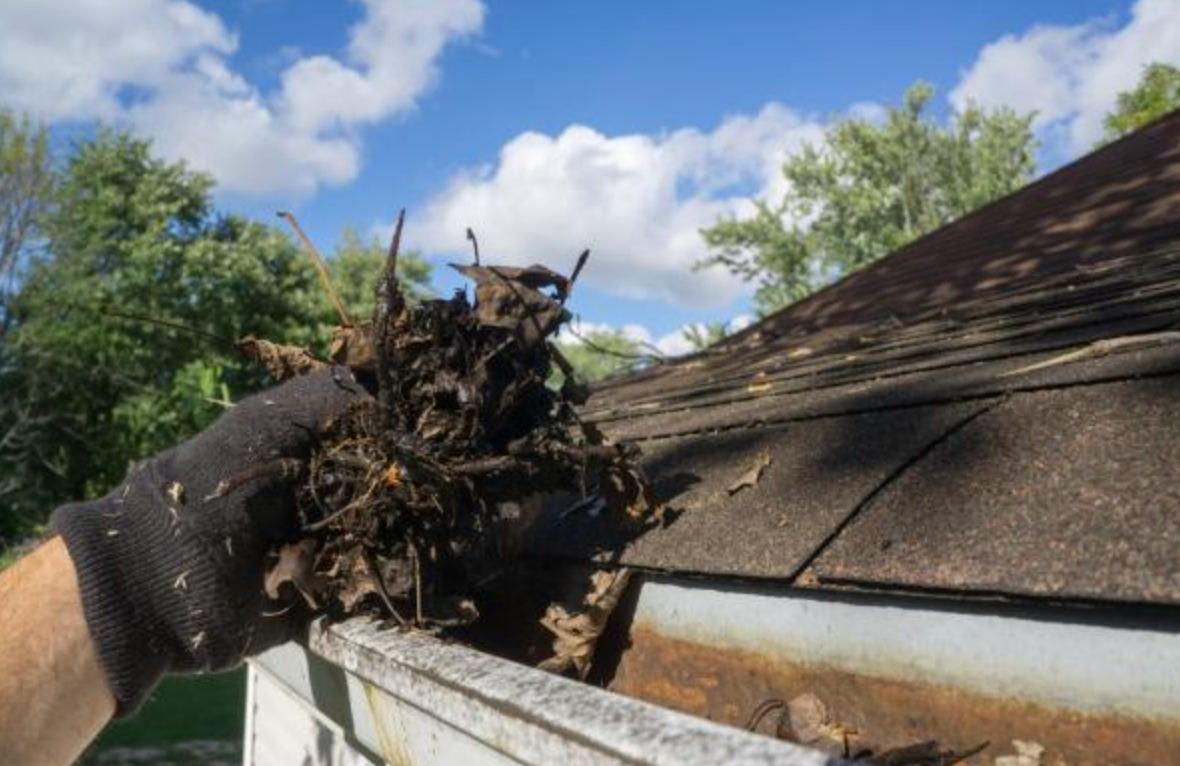 gutter cleaning costs