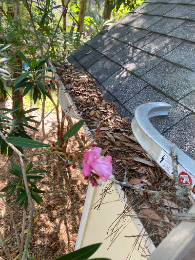 gutter cleaning Mount Pleasant