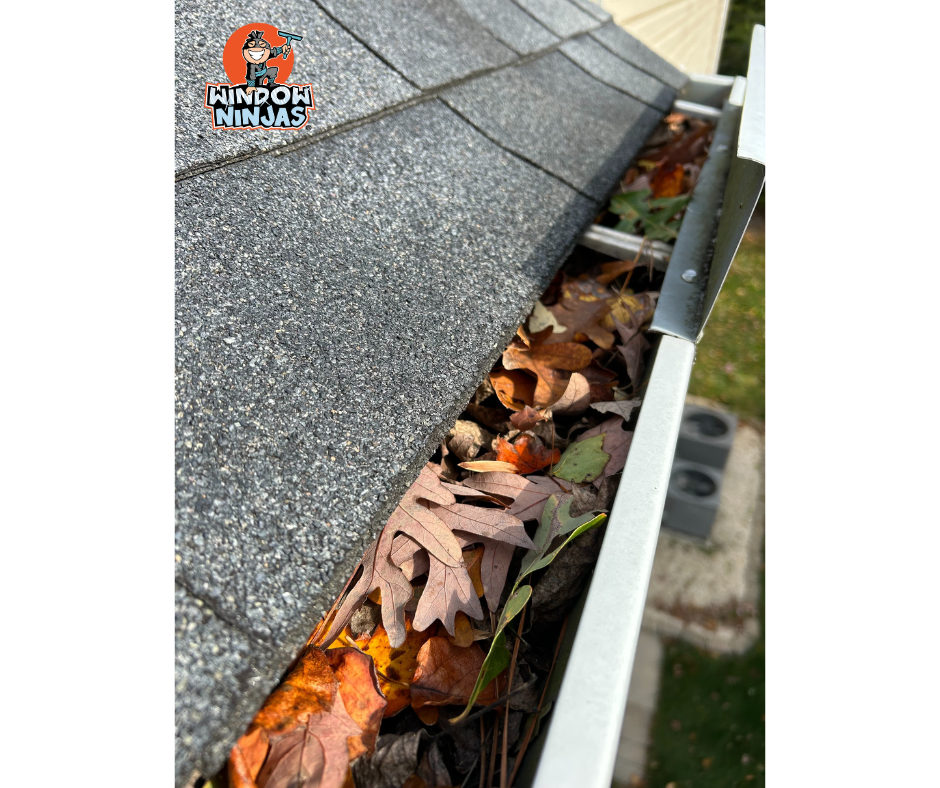 Improve Your Home's Exterior with Gutter Cleaning