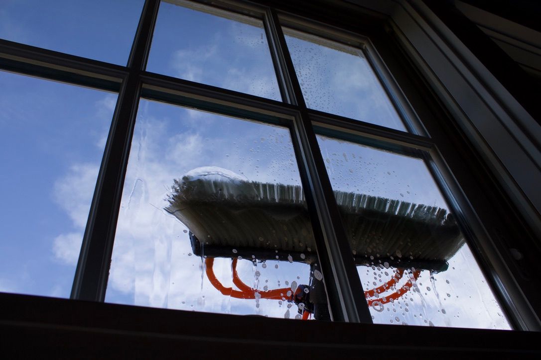 professional window cleaning service