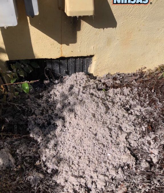 dryer vent cleaning wilmington