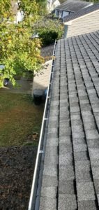 Williamsburg Gutter Cleaning