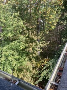 gutter cleaning raleigh