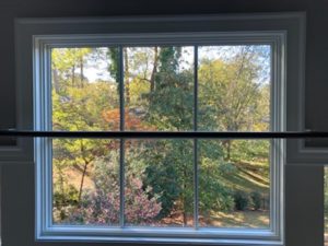 window cleaning raleigh