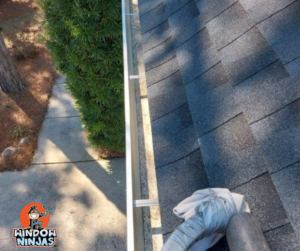 clean gutters from professional gutter cleaning