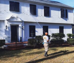 types of house pressure washing