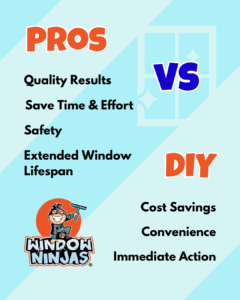 pros vs DIY window cleaning