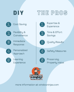 DIY vs Professional pressure washing