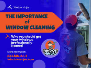 the importance of window cleaning
