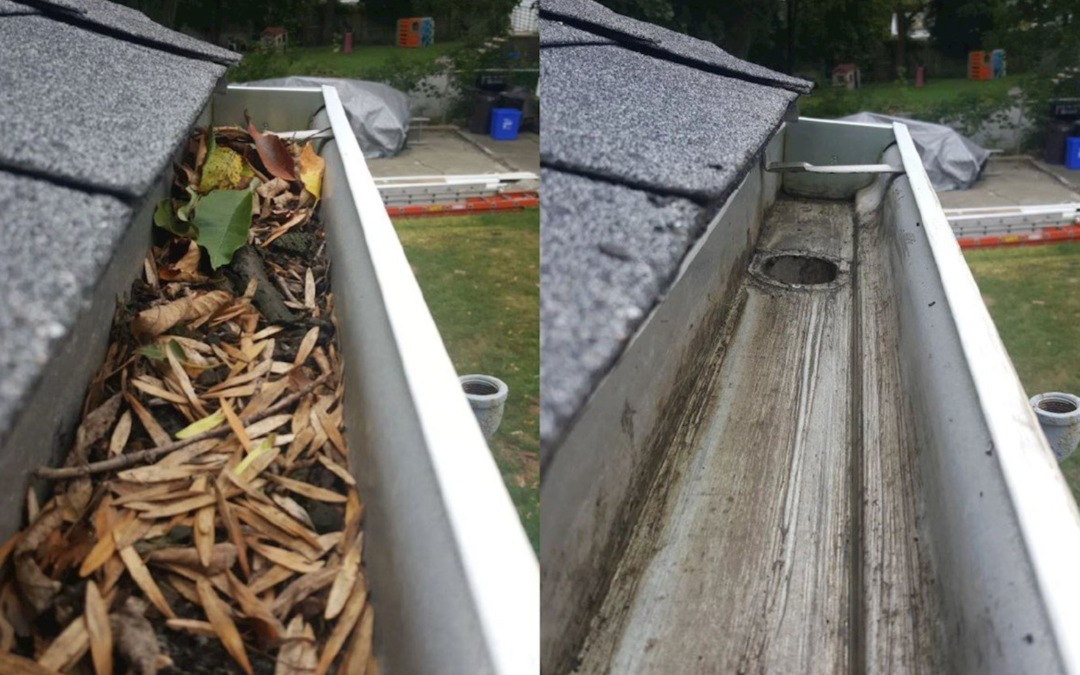 How Are Gutters Cleaned By Specialists?