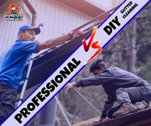 professional vs DIY gutter cleaning