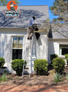 ladder for gutter cleaning