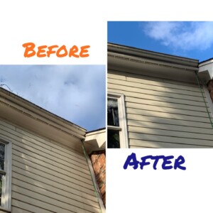 Gutter Cleaning Raleigh