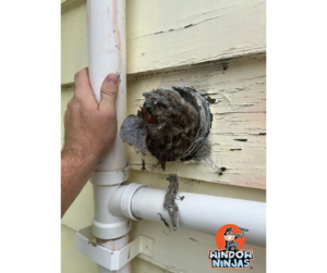 clogged dryer vent with lint