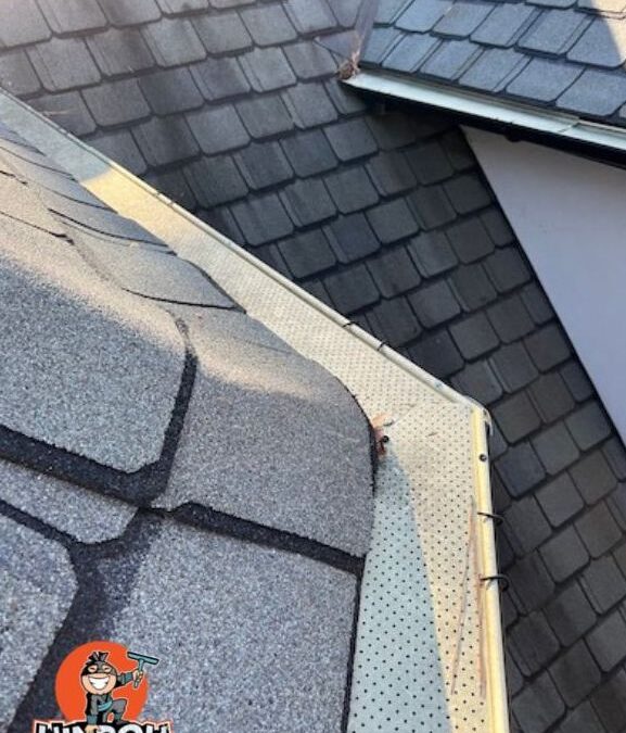 Are Gutter Guards Worth The Money For Your Myrtle Beach Property?