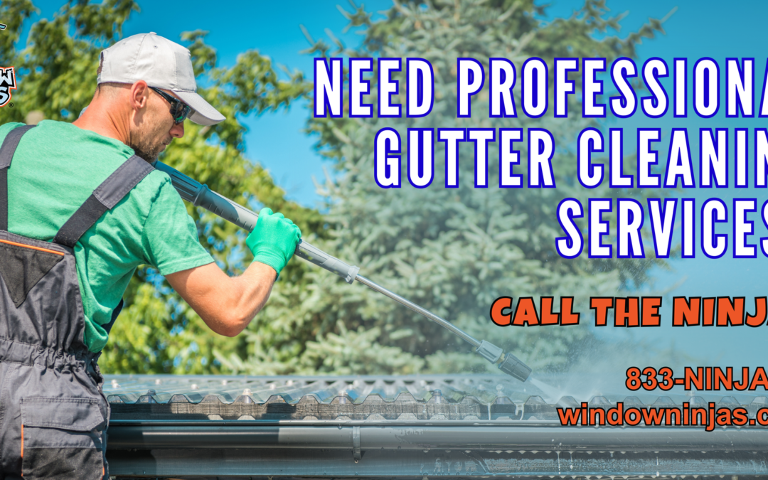 Should I Pay For High Quality Gutter Cleaning Service?