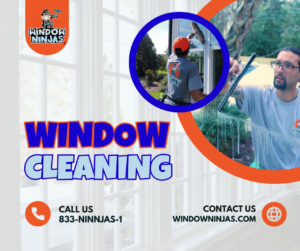 Window Cleaning services