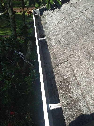 gutter cleaning Brentwood