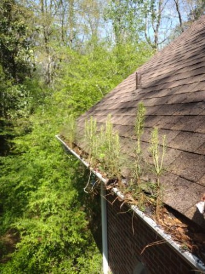 gutter cleaning Charlotte