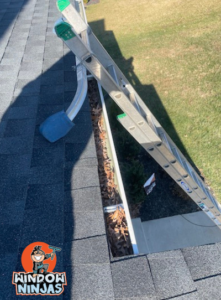 gutters cleaned recently
