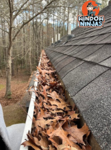 gutters clogged in gutter