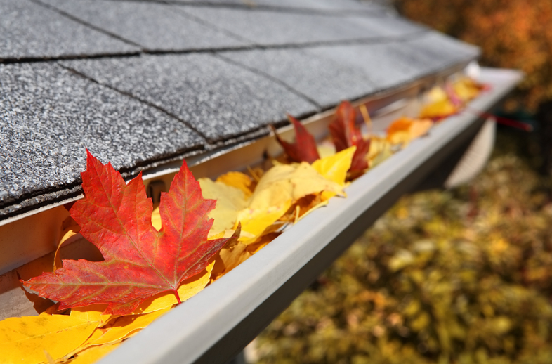 8 Gutter Cleaning Tips and Tricks