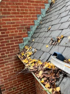 Gutter cleaning Wilmington