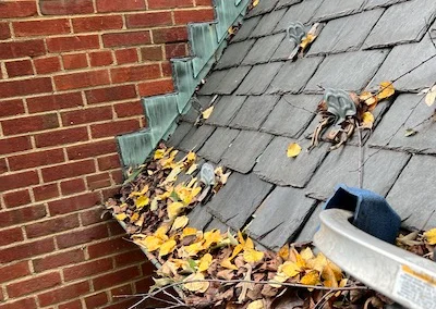 Gutter Cleaning in Charleston