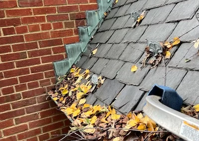 Gutter Cleaning Wilmington 1