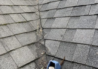 Gutter Cleaning Wilmington 10