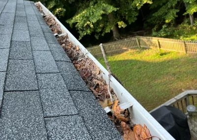 Gutter Cleaning Wilmington 300