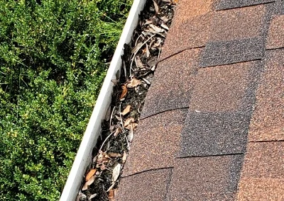 Gutter Cleaning Wilmington 9