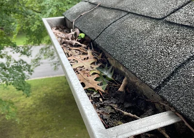 Gutter Cleaning Wilmington Leaves