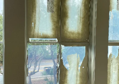 Window Cleaning Charlotte 1webp