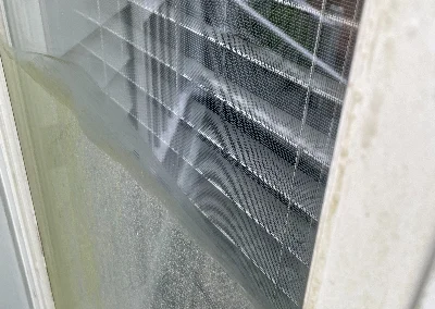 Window Cleaning Wilmington 5