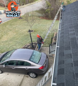 professional gutter cleaning with a ladder