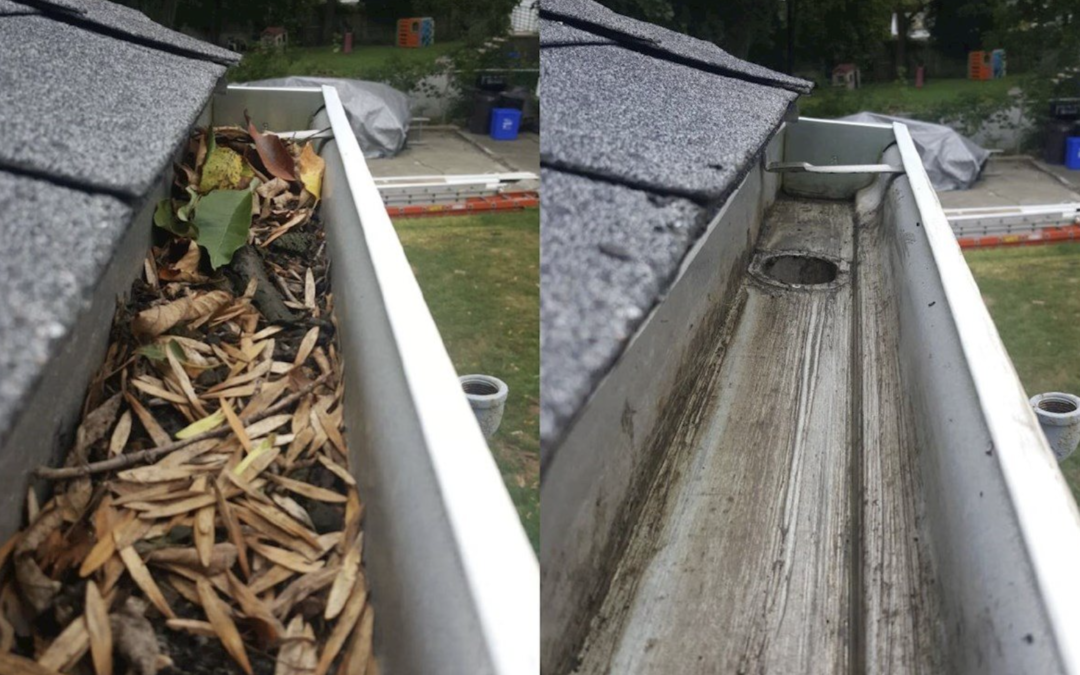 Are Gutters Worth Cleaning?