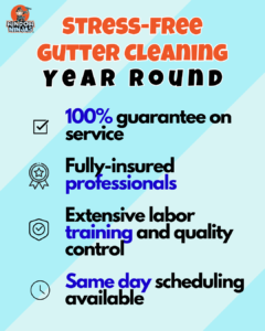 stress-free gutter cleaning year round graphic