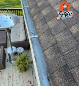 best residential gutter cleaning company