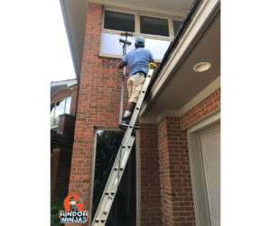 professional window cleaning on ladder