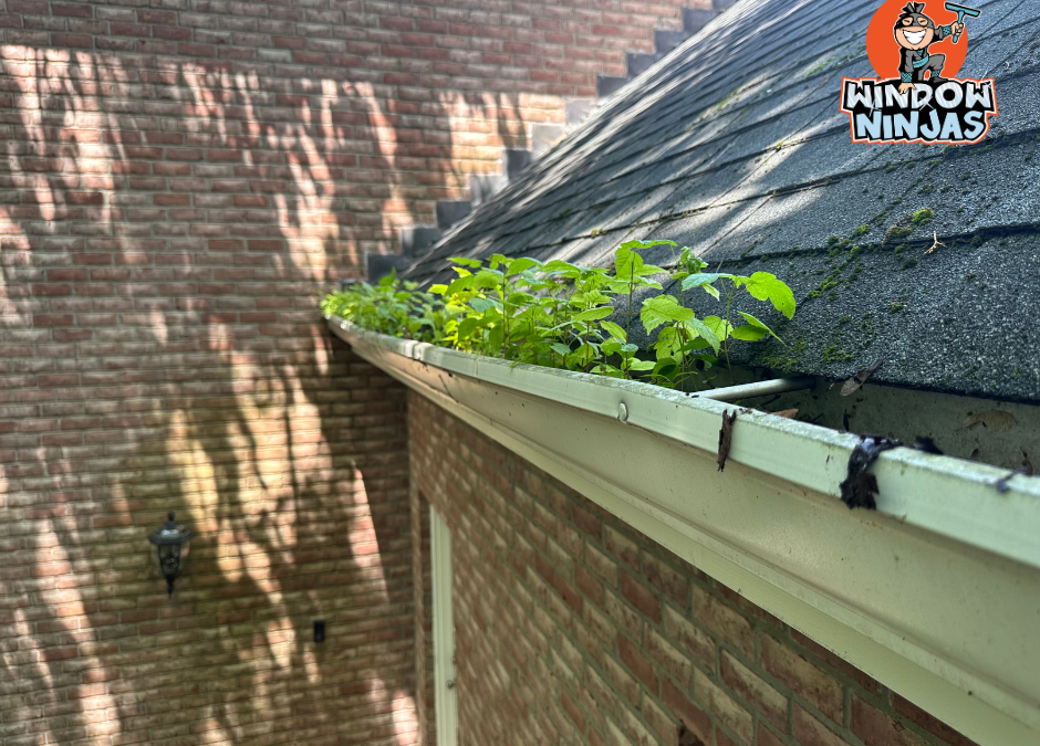 5 Signs It’s Time to Call a Professional Gutter Cleaner