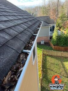 leaves and debris in gutters clean remove