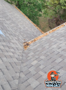 top local gutter cleaning