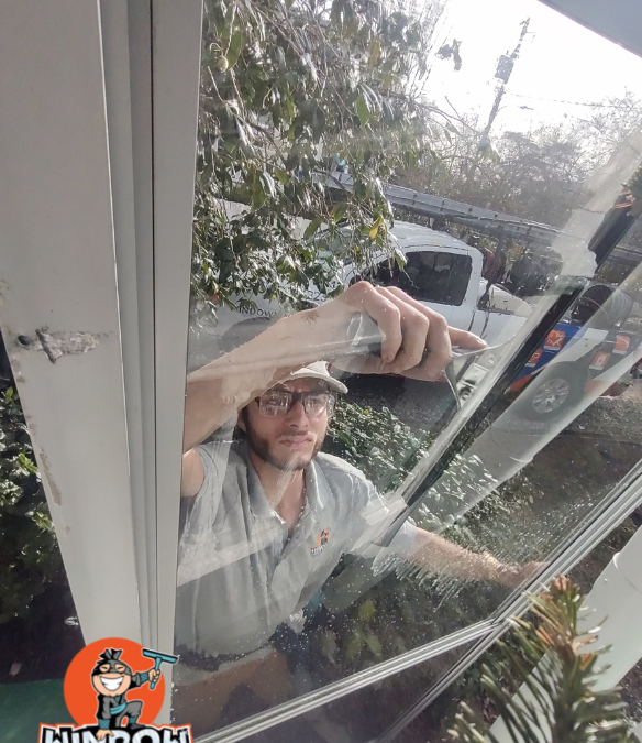 Revive Your Views with a Window Cleaning Service