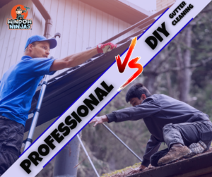 professional vs DIY gutter cleaning clean own gutters