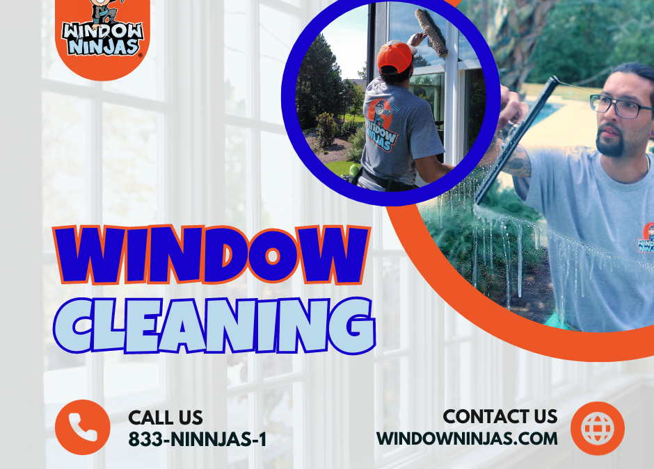 Window Cleaning Ninjas